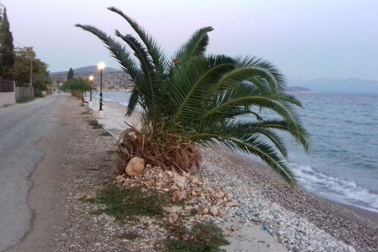 Family House Near The Beach Drepano-Nafplio Екстер'єр фото